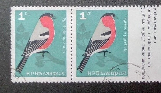 BULGARIA 1965 PÁJAROS CANTORES, 1er error, derecho imperforado, par, cancelado Foto 1 de 1