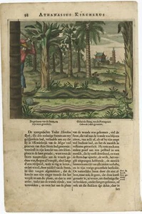 Antique Print of Chinese Snakes by Kircher (c.1660) - Picture 1 of 1