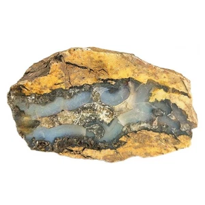 Petrified Wood South Dakota 1 lb 9 oz 5” x 3" x 2.75" Wooden Rock Stone Fossil - Picture 1 of 1