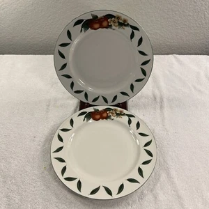 2 piatti da portata WSP Cades Creek in vero gres mela 10,5" - Foto 1 di 15