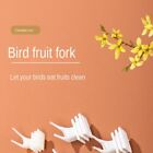 30/15Pcs White Birds Food Holder Plastic Fruit Snacks Fork  Pet Supplies
