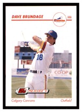 1991 Line Drive AAA #53 DAVE BRUNDAGE Calgary Cannons