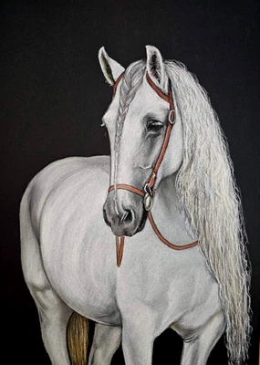 Horse Portrait Pastel Drawing A3 Realistic Equine Spirit Art White Stallion - Image 1 of 4