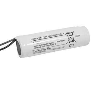 Emergency Lighting Ni-Cd 2.4v 4Ah 2DH4-0L4 - Picture 1 of 1