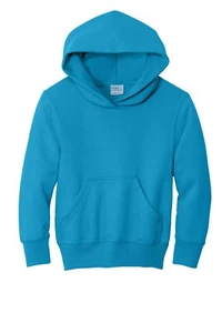 Childrens Danbury Trashers Hockey Hooded Sweatshirt XS-XL Youth Hoodie Kids New - Picture 1 of 14