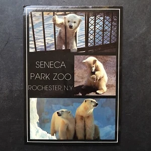 Seneca Park Zoo Rochester New York Vintage Eisbär Postkarte (gebraucht) 1984  - Bild 1 von 6
