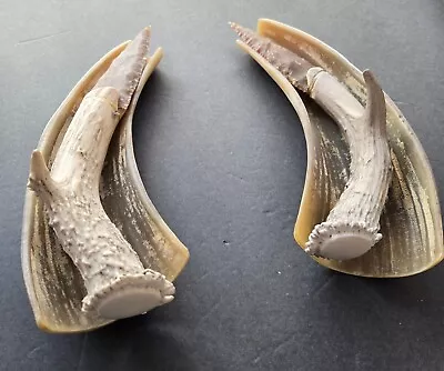 Pair of Handmade Agate Blade Knives in Cow Horn Cradles - Image 1 of 4