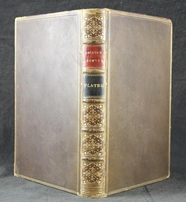 1887 COOKE BRITISH DESMIDS FRESH WATER ALGAE 66 COLOUR PLATES CALF GILT BINDING - Image 1 of 4