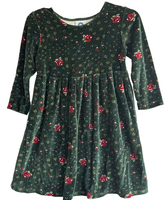 Vestido Algodón Recursos Niñas Talla 6 Verde Floral Manga Larga Terciopelo Foto 1 de 4