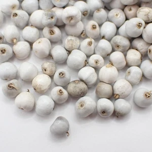 Lote de 250 piezas Job's Tears Semilla Cuentas Rosario Orgánico Natural Espaciadores Madera Collar - Imagen 1 de 6