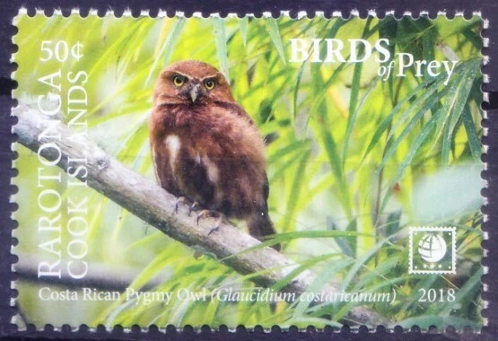 Islas Cook, Rarotonga 2018 MNH, búho pigmeo costarricense (p) aves rapaces Foto 1 de 1