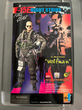 1/6 Scale Modern Era F-15 Strike Eagle Pilot - Wolfman - NIB Dragon