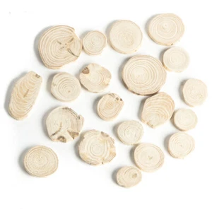 Bulk Package of 120 Assorted Small Natural Birch Wood Slices - Picture 1 of 4