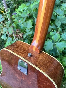 Project Eko Ranger VI Acoustic Guitar Good But Lifting Top - Picture 1 of 19