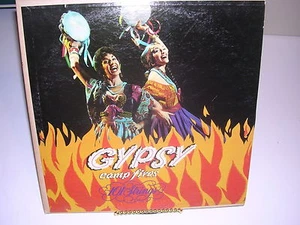 Gypsy Camp Fires 101 Strings Somerset SF-8100 - Picture 1 of 2