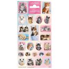 Peterkin 5113 Cute Cat Stickers, Multi-Colour