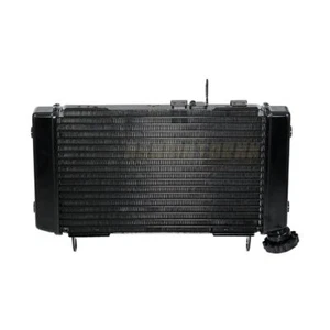 Enfriador de radiador de agua de aluminio para Suzuki SV650 1999-2002 17710-19F10-000 - Imagen 1 de 5