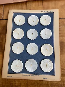 vintage natural shell buttons made in Argentina, flower design - Picture 1 of 5