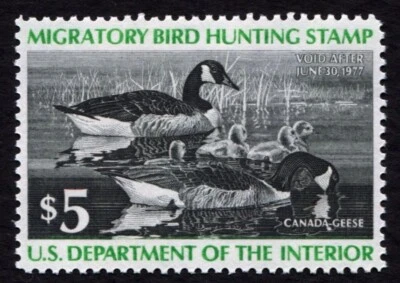RW43 XF MNH 1976 Canada Geese US Federal Duck Stamp Migratory Waterfowl - Image 1 of 3