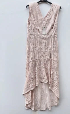 Coast Lace Blush Pink High Low Peplum Maxi Midaxi Occasion Dress UK Size 16 Bnwt - Image 1 of 4