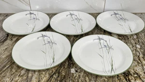 Corelle Vitrelle Shadow Iris 9" Mittagessen Teller nicht mehr produziert 5er Set 🇺🇸 - Bild 1 von 24