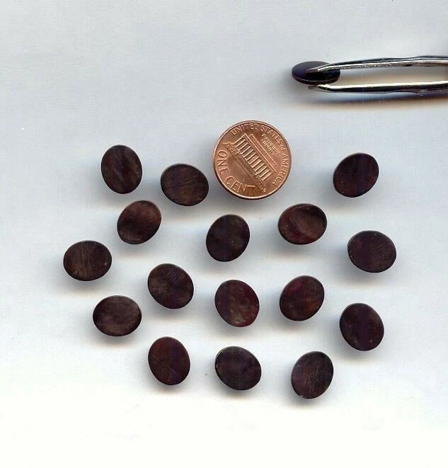 36 PLACAS DE AZULEJOS OVALADOS VINTAGE GENUINOS AZABACHE NEGRO CARCASA LISA 12x10 mm d209 Foto 1 de 1