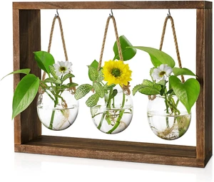 Propagation Stations Desktop Air Plant Terrarium with Wooden Stand, Retro Plant - Picture 1 of 12