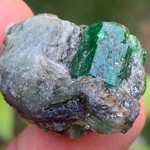 Cristal esmeralda sobre un esquisto matriz de cuarcita 19,89 gramos de Swat Pakistán - Imagen 1 de 12