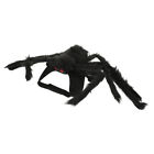  Halloween Spider Costume for Pet Cat Dog Realistic Spider Cosplay Prop