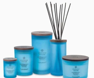 Chesapeake Bay Mind Body Confidence Freedom Oak Moss Amber Candles Blue relaxer - Picture 1 of 4