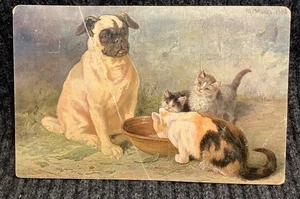 Antiguo pliegue postal pegado gatos gatitos bebiendo de cuenco cachorro perro - Imagen 1 de 2