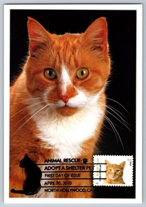 #4460 Animal Rescue Adapt a Pet Cat Orange Tabby Maxi Card FDC w/Pictorial Cance - Picture 1 of 2