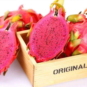 1 Confezione 200 Semi di Pitaya Rosso Semi di Frutta Drago Semi di Frutta Pitaya Bio S054 - Foto 1 di 10