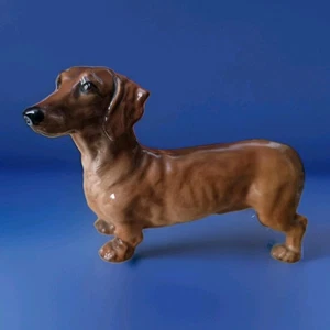 Royal Doulton Dog Dachsund Standing HN 1140 Brown Gloss Rare Perfect Condition  - Foto 1 di 10