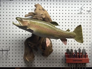 Rainbow Trout Taxidermy Wall Mount 21" Fish Decor - Picture 1 of 14