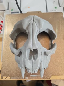 Feline Formidable: A 3D-Printed Cat Skull Mask for Haunting Halloween Adventures - Picture 1 of 5