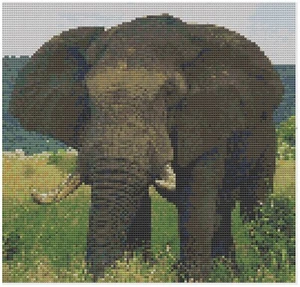 Patrón de punto de cruz de Florashell - Elefante - Imagen 1 de 1