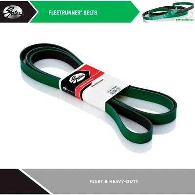 Cinturón serpentino de alta resistencia GATES para Freightliner Classic XL 2001 L6-10,8 L Foto 1 de 4