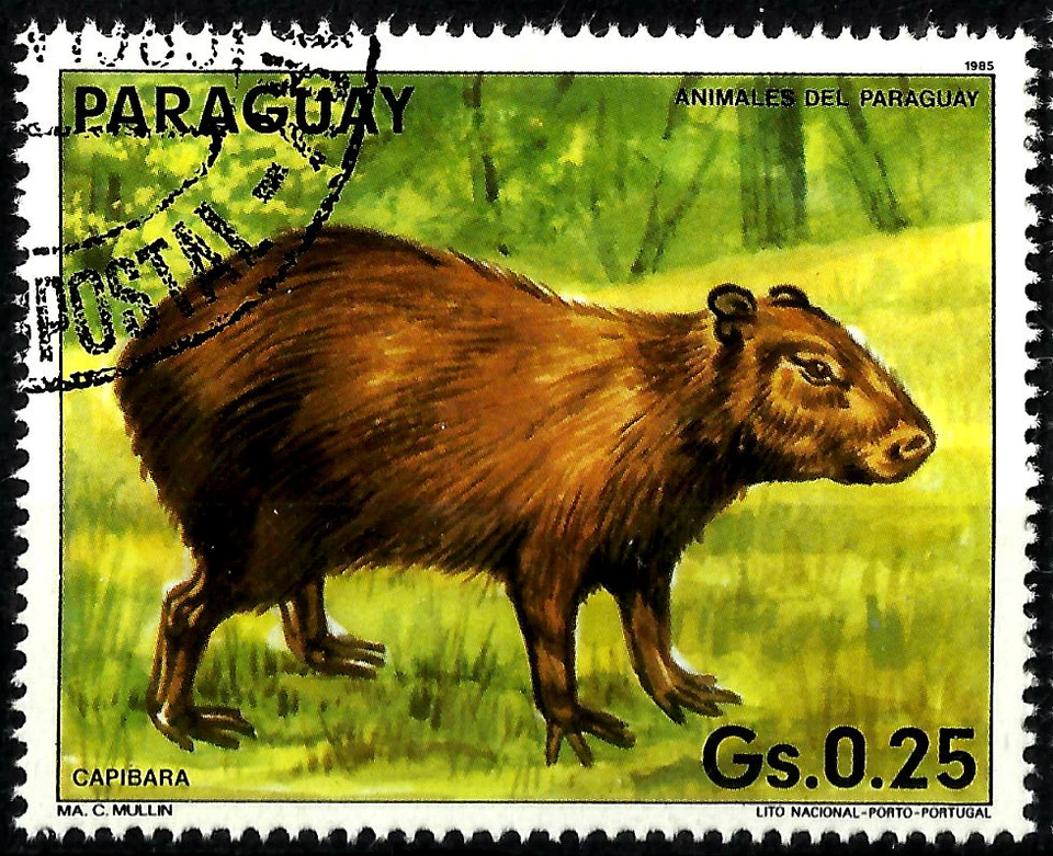 CAPIBARA (Hydrochoerus hydrochaeris), AÑO 1985, WWF. Foto 1 de 1