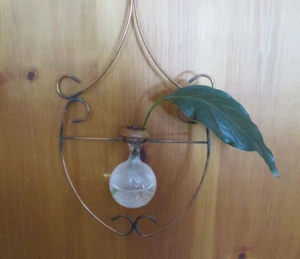 Copper Hanging Plant Propogation Rooter with Wood Trimmed Glass Vase Sprouter - Picture 1 of 3