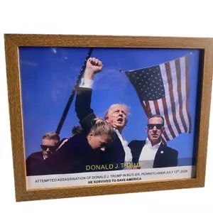 Donald Trump Assassination Attempt Fight Picture on a frame. (11x14 Inches) - Picture 1 of 5