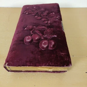 Late 1800's Antique Victorian Photo Album With 42 Photo's Pictures Red Velvet  - Picture 1 of 24