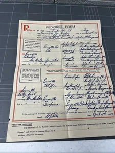 VINTAGE CERTIFICATE BROCHURE DOG PEDIGREE MCEWANS MELBOURNE COCKER SPANIEL 1952 - Bild 1 von 7