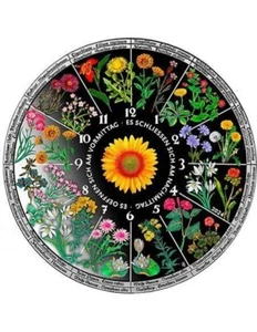Moneda de Plata 1 Oz 2024 Liberia $20 Horologium Flora Reloj Floral Coloreado Prueba - Imagen 1 de 4