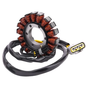 Estator 12318396695 para BMW S1000R S1000RR 2019-2024 M1000RR 2020-2024 - Imagen 1 de 11