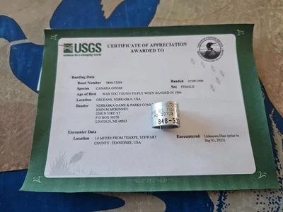 DE COLECCIÓN 100% ORLEANS, NEBRASKA Ganso de Canadá ESCRIBIR PÁJARO Banda Estilo 0848 Pato Call Pierna Foto 1 de 4