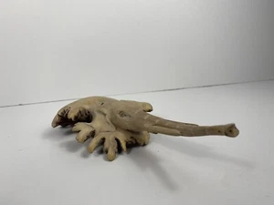 Vintage African Folk Art Hand Carved Wood Elephant  Head Sculpture 7.5 In - Picture 1 of 4