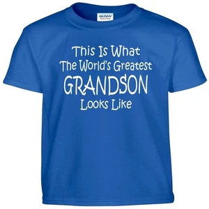 Worlds Greatest GRANDSON T shirt  Boys Youth Kids and Adult Tee T Shirt - Picture 1 of 17