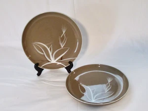2er Set Winfield Porzellan Desert Dawn 10" Essteller ~ Made in USA - Bild 1 von 4