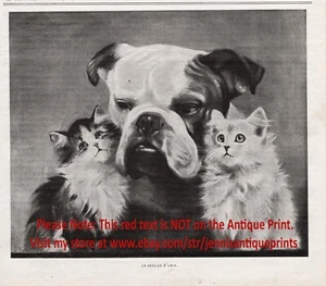 Bulldog para perro acurrucado con gato gatito amigos, impresión antigua de la década de 1890 - Imagen 1 de 3